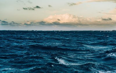 Activités maritimes : retour sur l’AG du Pôle Mer et les projets collaboratifs innovants d’Evosens